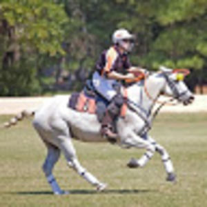 Meet your Posher, Sheana